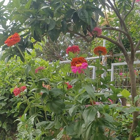Garden Rooms 希马拉 外观 照片