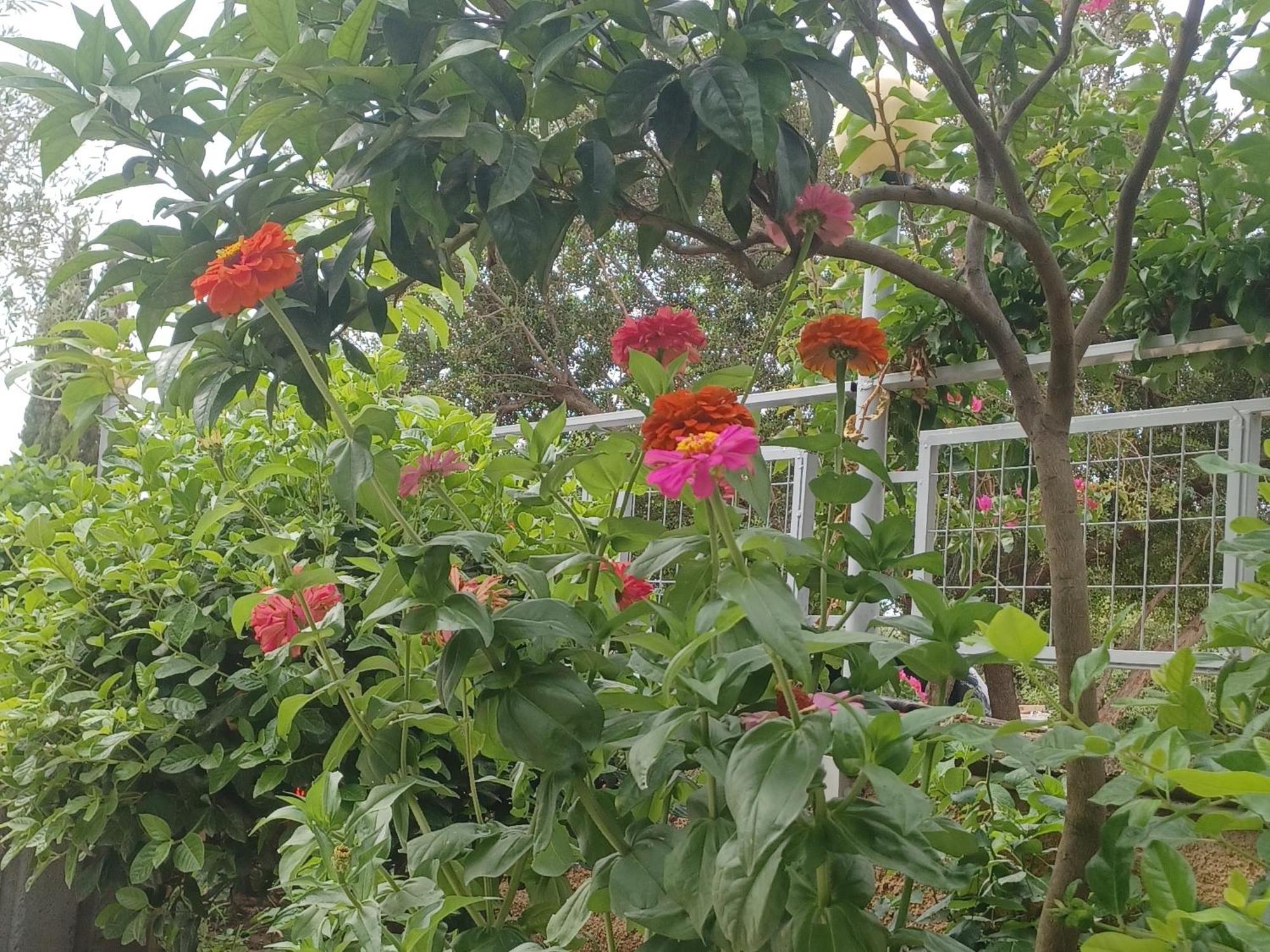 Garden Rooms 希马拉 外观 照片